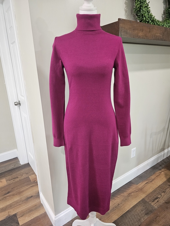 Express Dresses & Skirts - Express Fitted Turtleneck Long Sleeve Dress in Fuscia